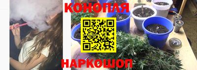 ECSTASY Гай