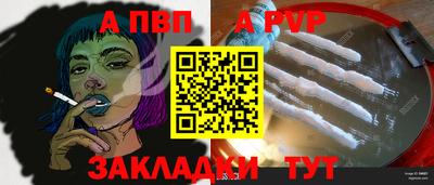 ECSTASY Гай