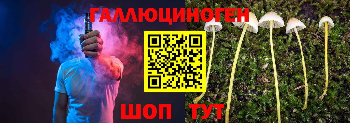 Галлюциногенные грибы Psilocybe Тайшет