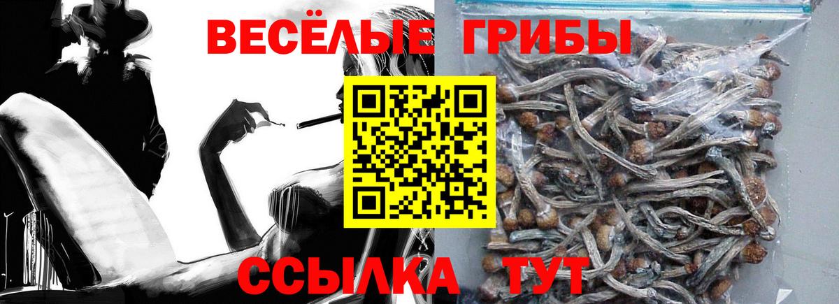 Галлюциногенные грибы мухоморы  Галлюциногенные грибы ЛСД  Тайшет  цена   Вход с VPN 