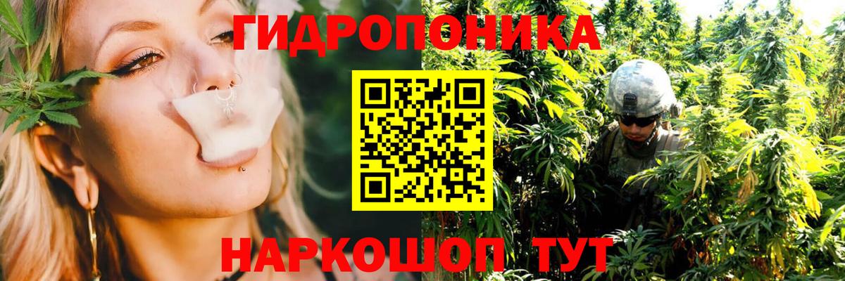 МАРИХУАНА ГИДРОПОН Тайшет